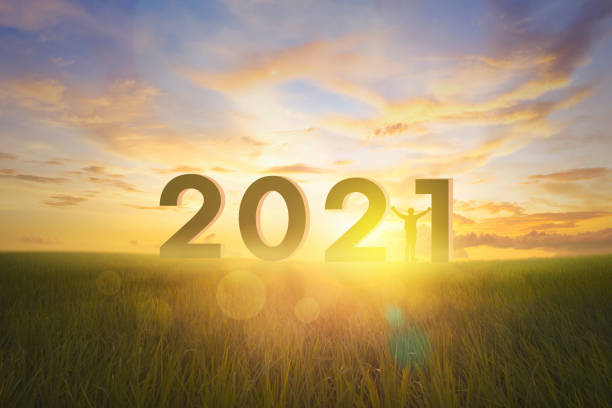 metas 2021